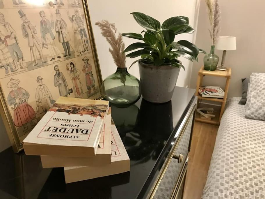 Le Madeline Apartment Nantes